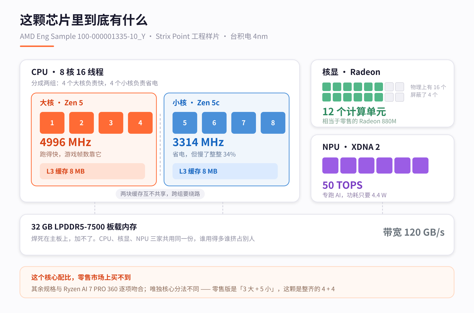 SoC 拓扑图：4 个大核 + 4 个小核、两块互不共享的 8MB 缓存、12 个显卡计算单元（物理 16 个屏蔽 4 个）、50 TOPS NPU
